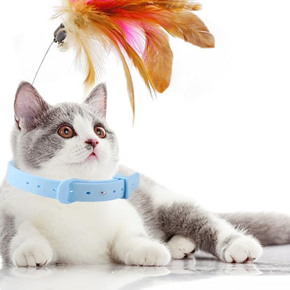Interactive Cat Toy, Cat Teaser Wand, Silicone Collar, Feather Toys for Kitten Play, Blue