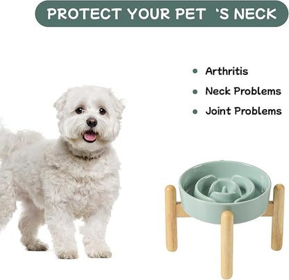 Ceramic 0.9 Cup Raised Dog Slow Feeder Set, Elevated Bowl with Wooden Stand for Small Dog and Cat, 6.1inch Puzzle Slow Dog Food Dish, Anti-Gulping(Light Green, Single Bowl+ Stand)