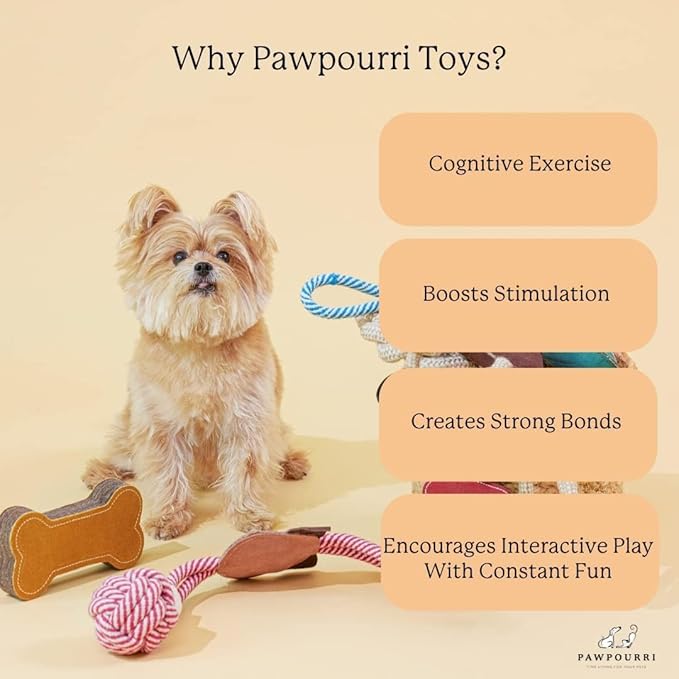 Natural Jute Dog Chew Toy – Lion Shape, Tough & Durable Puppy Teething Toy, Safe Eco-Friendly Chew, Interactive Training & Play Toy for Small, Medium & Large Dogs