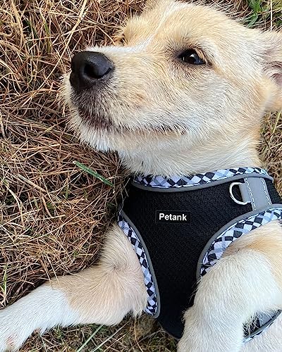 Petank Dog Harness for Small Medium Dogs No Pull, Puppy Harness and Leash Set, Step in Dog Harness for Walking, Running, Training(Black, S) - Image 2
