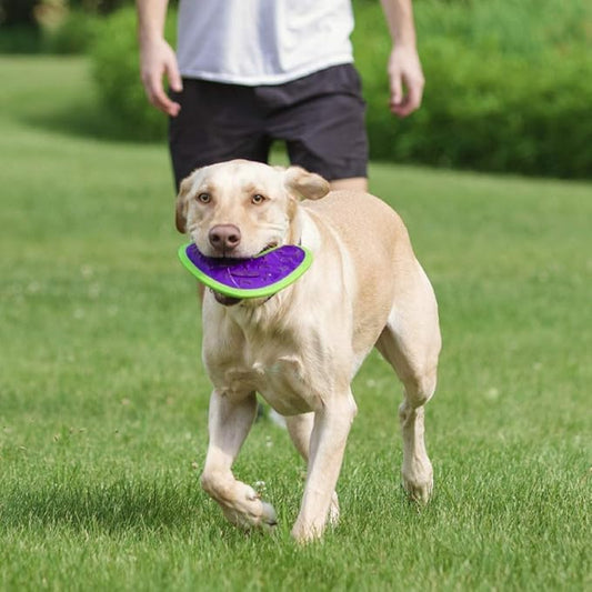 Hero Outer Armor, Fetch Dog Toy, Floats & Squeaks