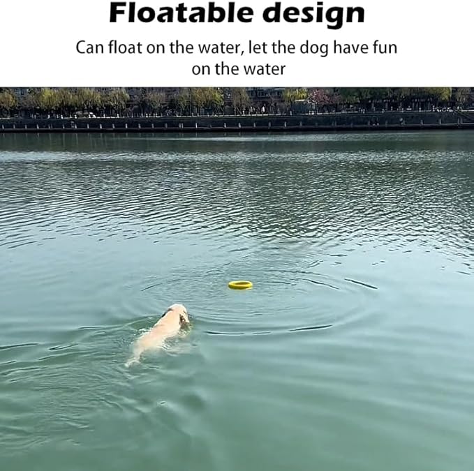 Dog Toys, Dog Chew Toys for Aggressive Chewers,Flying Discs for Medium/Large Breeds. Floating Dog Ring Toys for Throwing, Catching, Grabbing. (Small)