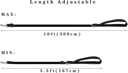 TAIAN Adjustable Nylon Dog Leash, 6FT/10 FT Long Dog Leashes for Small Medium Large Dogs (1 in x 6 ft, Red)