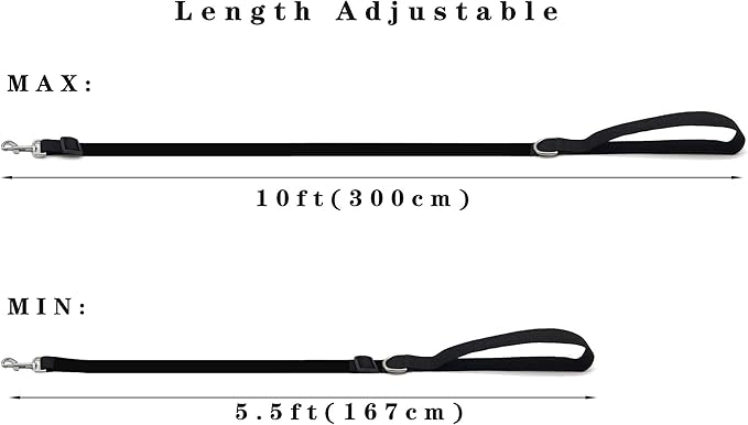 TAIAN Adjustable Nylon Dog Leash, 6FT/10 FT Long Dog Leashes for Small Medium Large Dogs (1 in x 10 ft, Rainbow)