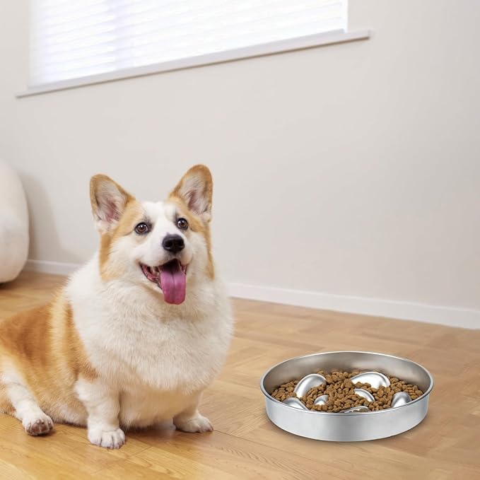 Metal Slow Feeder Dog Bowl, Food Grade Stainless Steel Dog Slow Feed Bowl with Non-Slip Base, 5 Cups Capacity Slowing Eating Pet Dishes Bowls for Puppy, Medium & Large Breed, Hound