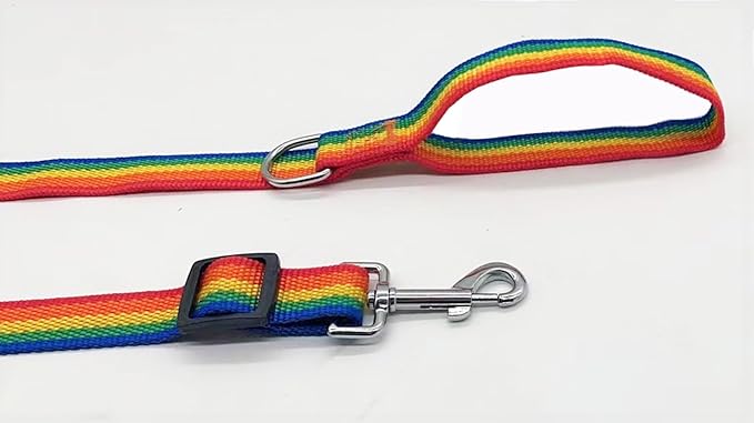 TAIAN Adjustable Nylon Dog Leash, 6FT/10 FT Long Dog Leashes for Small Medium Large Dogs (1 in x 6 ft, Rainbow)