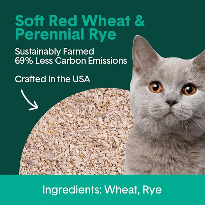 Boxie® Eco™ Farm to Box Sustainable 30 Day Odor Control Clumping Cat Litter, 6.5lb Boxiecat 99.9% Dust Free Plant-Based Kitty Litter
