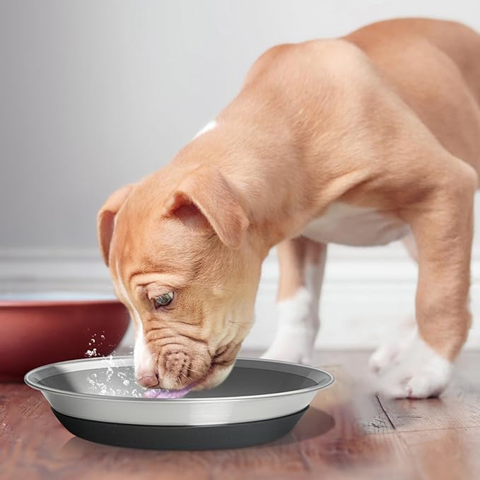 2 Packs Premium Stainless Steel Dog Bowls - Non-Slip, 2.5 Cups Capacity, Durable and Safe for Your Beloved Pet