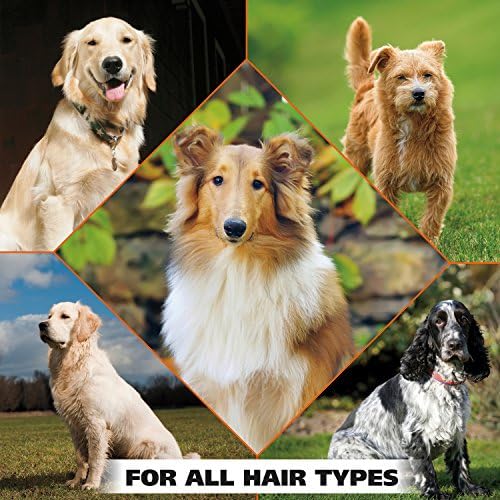 Wahl USA Pet Refresh Cleaning Wipes for Dogs, Coconut Lime Verbena, 50 ct - Image 6