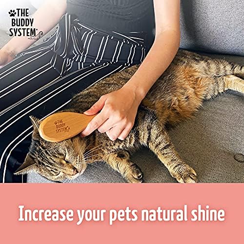 The Buddy System - Soft Cat Brush with Boar Bristles, 1 Pack - Image 5
