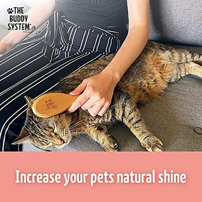 The Buddy System - Soft Cat Brush with Boar Bristles, 1 Pack - Image 5