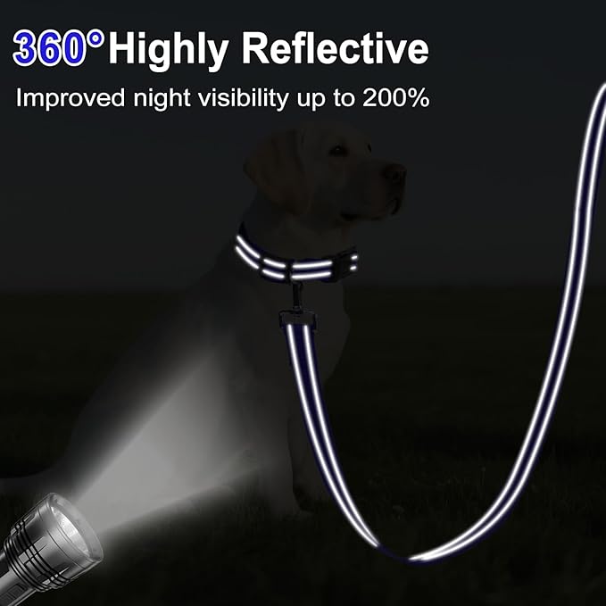 Reflective Dog Leash 4ft Soft Padded Handle Nylon Lead for Small & Medium Dogs, Durable Walking Training Leash for Night Safety (Royal Blue,1Inch Wide)