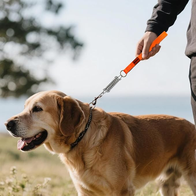 Heavy Duty Dog Leash, Chew Proof Metal Leash for Large Dogs (Up to 250lbs), WireRope Dog Leashes with Soft Silicone Grip (Orange Short, 18IN)