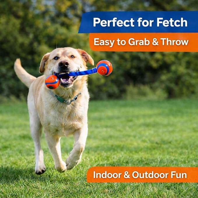 Ultra Duo Tug Rope Dog Toy 2” Small for Puppies & Small Dogs 0–20 lb, Indoor Outdoor Fetch & Interactive Play, Durable Braided Toy, Pack of 1
