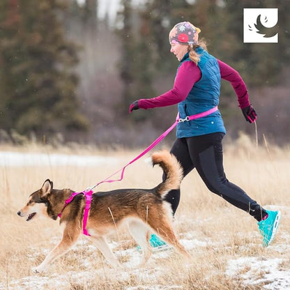 RC Pets Bungee Active Dog Leash, Hands-Free 4-in-1 Dog Leash, Arctic Blue/Teal