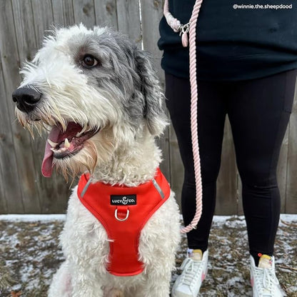 Rosewater Hands-Free Rope Leash