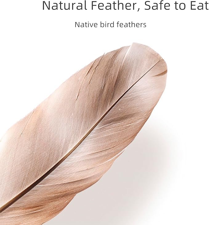 Flying Cat Bird Toy Pack for Cat Wands, Teaser, Suction Cup or Door Hanging Toy, Natural Feather Refills with Bells for Indoor Cats Bird Hunting Selfplay-4 PCS