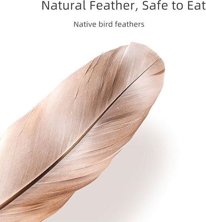 Flying Cat Bird Toy Pack for Cat Wands, Teaser, Suction Cup or Door Hanging Toy, Natural Feather Refills with Bells for Indoor Cats Bird Hunting Selfplay-4 PCS