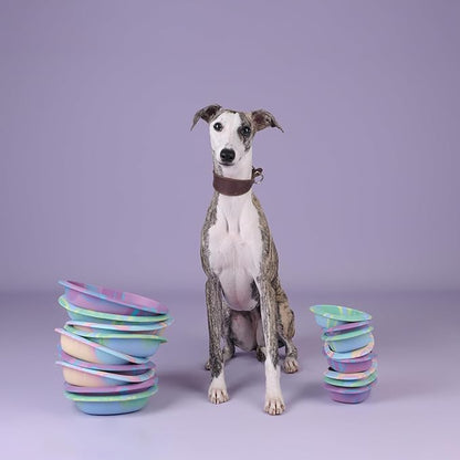 CHEWFFON Easter Dog & Cat Lick Mat Bowls, BPA-Free Silicone Slow Feeder Bowl with Suction Cups, Non Slip Pet Food Bowl Reduces Boredom and Anxiety, Dishwasher Safe, Green