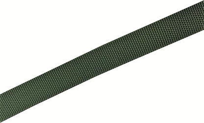 TAIAN 4FT/5FT/6FT Strong Dog Leash, Nylon Dog Leashes for Small Medium Large Dogs (1 in x 4 ft, Green)