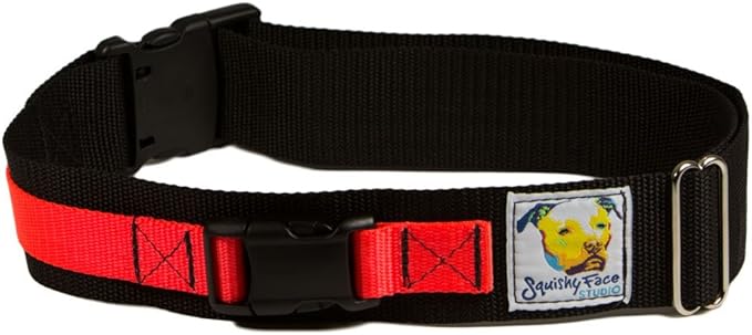 Squishy Face Studio Hands Free Dog Leash Belt - Medium-Large - Neon Orange