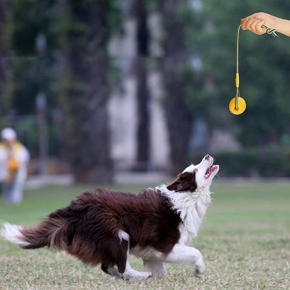 2 Pack Ball with Rope Dog Toy,Fling Dura Foam Toy,Dog Water Float Ball Rraining Boall on Rope (1 * 7cm/2.8"+1 * 9cm/3.5")