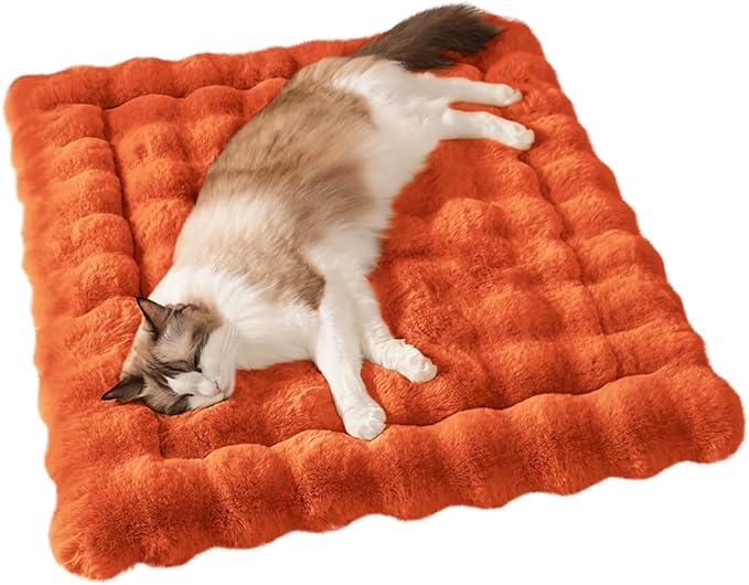 Cat Bed Mat, Soft Plush Faux Fur Kneading Pet Bed, Machine Washable Cat Sleeping Pad for Indoor Cats & Kittens, Non-Slip Fluffy Cat Rug for Couch Sofa Floor, 23x15 Inch Orange