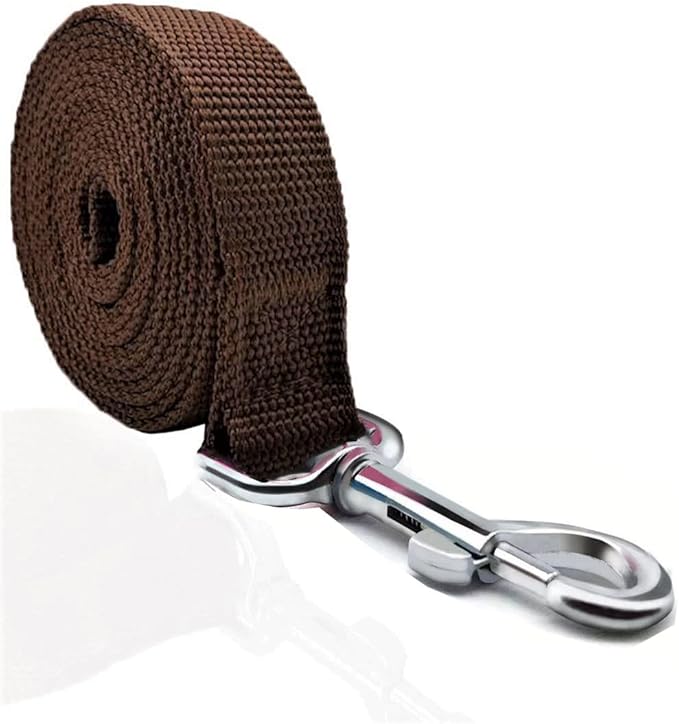 TAIAN 4FT/5FT/6FT Strong Dog Leash, Nylon Dog Leashes for Small Medium Large Dogs (5/8 in x 5 ft, Brown)