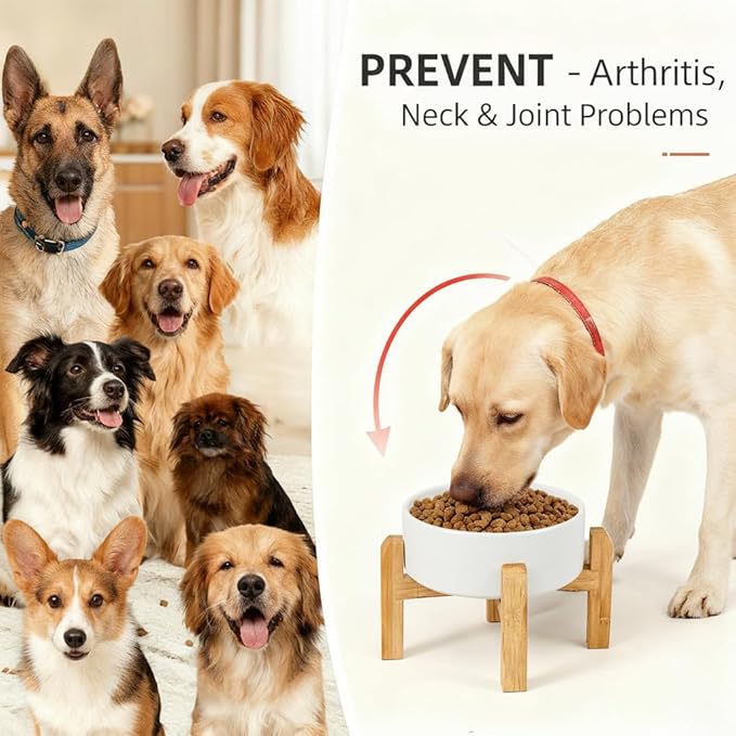Elevated/Raised Ceramic Dog Bowl with Bamboo Stand,8 inch 7.6 Cups Non-Slip Heavy-Weighted Single Pet Dish,Reduces Neck Strain White