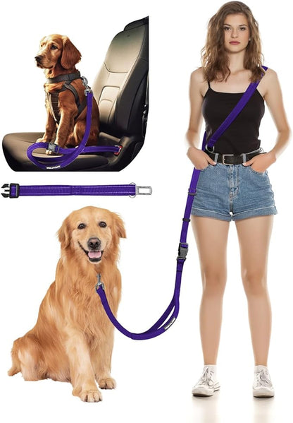 Hands Free Dog Leash, 2-in-1 Detachable Pet Seatbelt,5.9-9.2 ft Crossbody Dog Leash with Double-Sided Reflective for Walking, Hiking, Travel etc.(Purple)