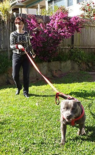 Primal Pet Gear Dog Leash 6ft Long,Traffic Padded Two Handle,Heavy Duty,Reflective Double Handles Lead for Control Safety Training,Leashes for Large Dogs or Medium Dogs,Dual Handles Leads(Red) - Image 3