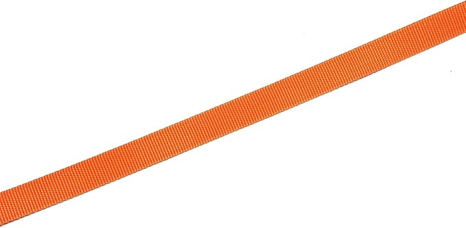 Nylon Dog Leash 8 Feet Long, Walking Training Dog Leashes for Medium Large Dogs(1" X 8 ft, Orange)