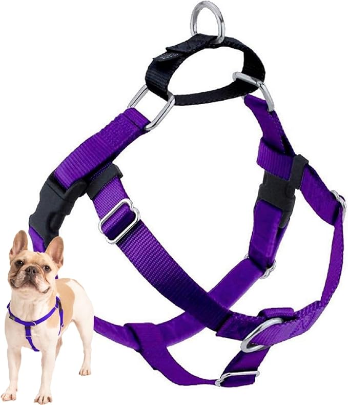 2 Hounds Design Freedom No Pull Dog Harness, Adjustable Harness, Easy Walking & Comfortable Control, Fits Small, Medium & Large Dogs, Solid Colors, Made in USA, 1" XXL, Purple