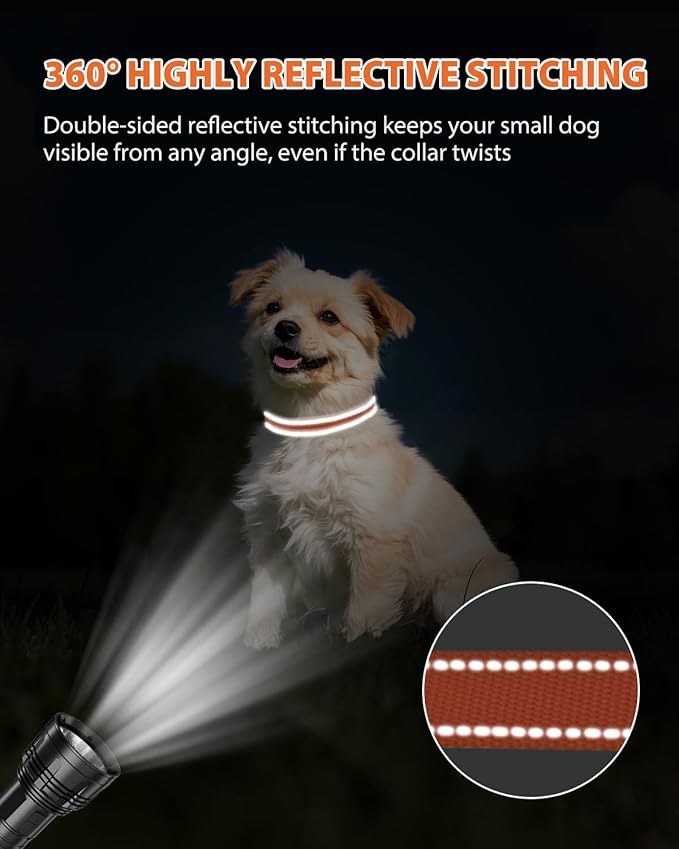 Joytale Small Dog Collar, Durable Double-Sided Reflective Nylon Collar for Night Safety, Adjustable Quick-Release for Active Breeds, Orange, S (3/4" Width)