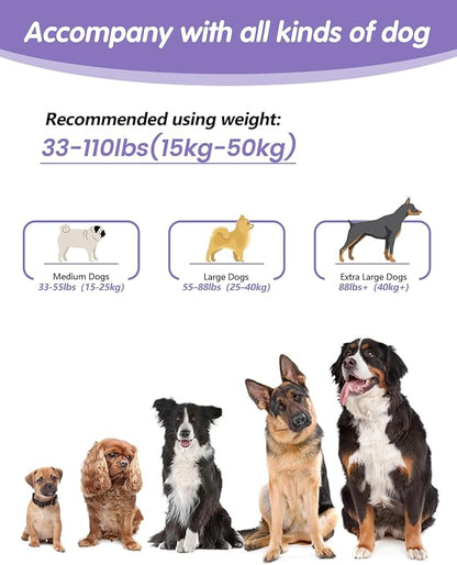 Hands Free Dog Leash, Multifunctional Crossbody Dog Leash, 5.9-9.5Ft Long Waist Belt with Car Seatbelt and Double-Sided Reflective Stitches for Medium and Large Dogs Walking, Jogging(Purple)