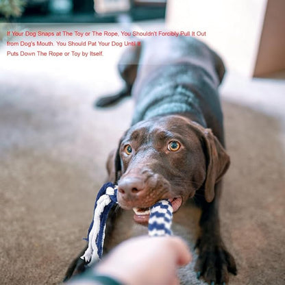 POPETPOP Flirt Pole for Dogs Interactive Dog Toys - Extendable Teaser Wand Outside Interactive Fun Toys with 2 Rope Chew Play Toys for Training Exercise (Size L)