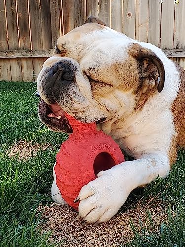 Jolly Pets Tuff Treader Dog Toy with Handle, 6 Inches, Red, Model:JTR23, All Breed Sizes - Image 4
