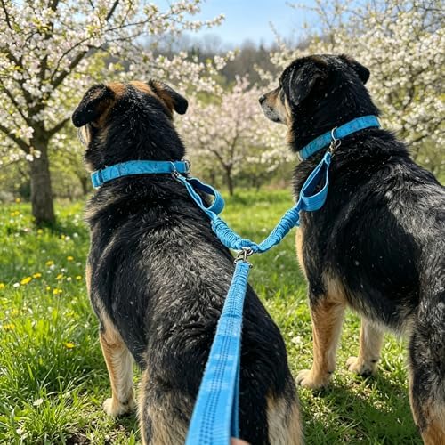 Dual Dog Leash Coupler, Double Control Padded Handles for 2 Dogs - Image 4