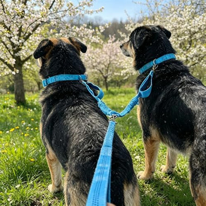 Dual Dog Leash Coupler, Double Control Padded Handles for 2 Dogs - Image 4
