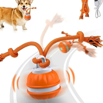 Auto Bouncing Pet Toy with Noise Maker ABS Indoor Outdoor Use for Puppy Exercise Chew Interactive Pet Ball