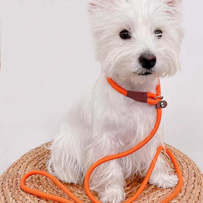 MayPaw Slip Lead Control Leash for Dogs No Pull, 13+ Colors Classic Dog Lead 7FT Pet Slip Leash, 1/4” Rope Leashes for Small Medium Animals Orange