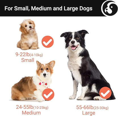 Happy & Polly 4-in-1 Dog Leash - Retractable, Heavy Duty, 16.4 ft with Flashlight & Bungee for Small Dogs