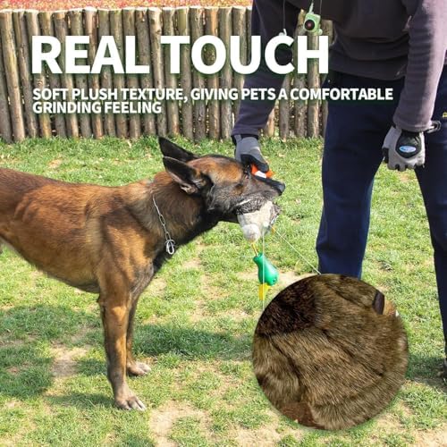 ALL FOR PAWS Duck Squeaky Doy Toy, Duck Dog Toy for Small Medium Breed, Puppy Fetch Toy with Squeaker, Plush Chew Dog Toy, 7.9 x 7.5 x 2 inches, Classic - Mallard S - Image 3