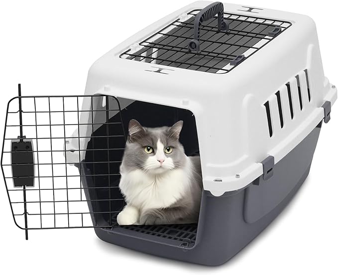 22 Inch Hard-Sided Plastic Dog Carrier 2 Door Travel Crate for Small Dogs Cats up to 22 lbs, Durable Handle, Security Lock Design, Gray