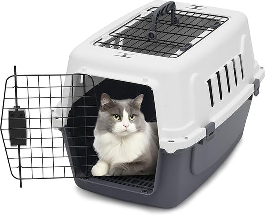 22 Inch Hard-Sided Plastic Dog Carrier 2 Door Travel Crate for Small Dogs Cats up to 22 lbs, Durable Handle, Security Lock Design, Gray