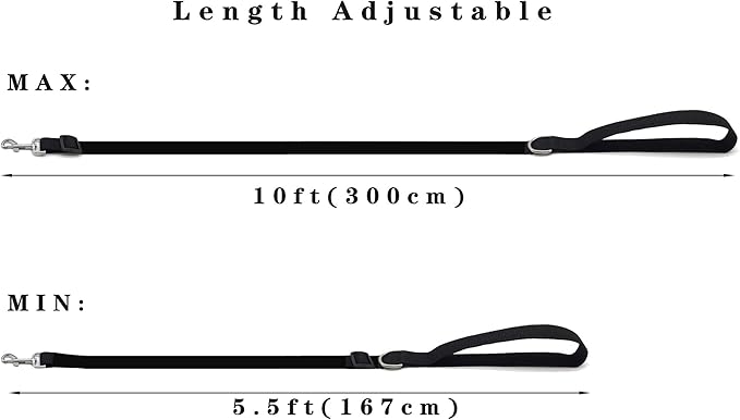 10FT Adjustable Dog Leash, Nylon Dog Leashes for Medium Large Dogs (Green)