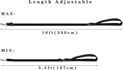 10FT Adjustable Dog Leash, Nylon Dog Leashes for Medium Large Dogs (Blue)