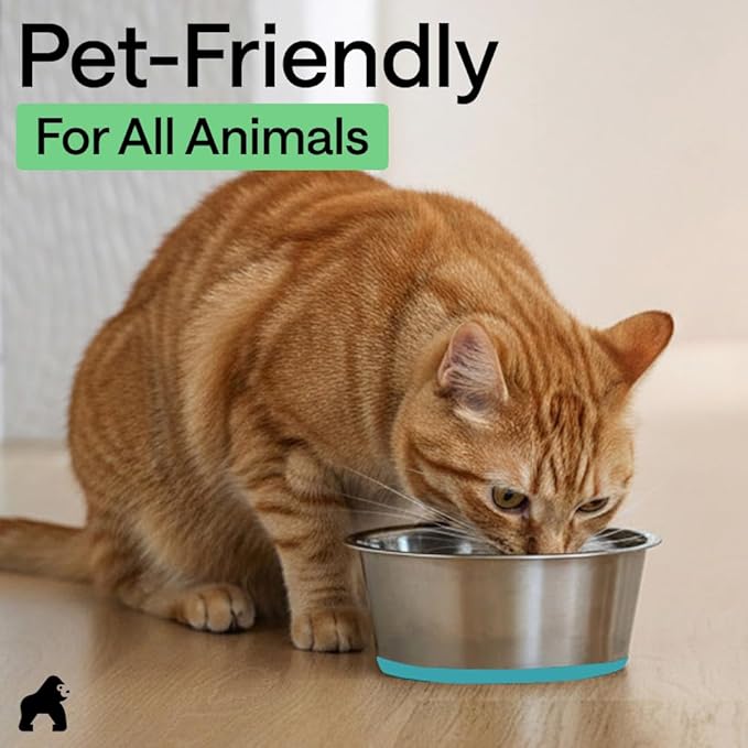 GORILLA GRIP Dog Bowls, Food Grade 304 Stainless Steel Holds 2 Cups Each (16 fl oz) Food and Water Bowl for Feeding Dogs and Cats Dishwasher Safe Rust Resistant BPA Free Rubber Base Set of 2 Turquoise