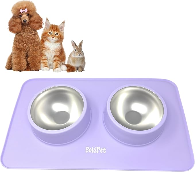 BoldPet® Dog Food and Water Bowl Set - Food Grade,Non-Slip Design Silicone Mat - Includes 2 Removable Stainless Steel Dog Bowls for Small Dogs - Perfect Puppy Bowls Set - Pet Bowls for Dogs and Cats