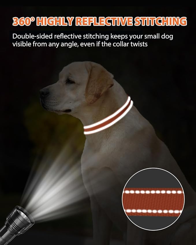 Joytale Dog Collars for Medium Dogs, Comfortable Double-Sided Reflective Nylon Collar for Night Safety, Adjustable Quick-Release for Active Pets, Orange, M (1" Width)
